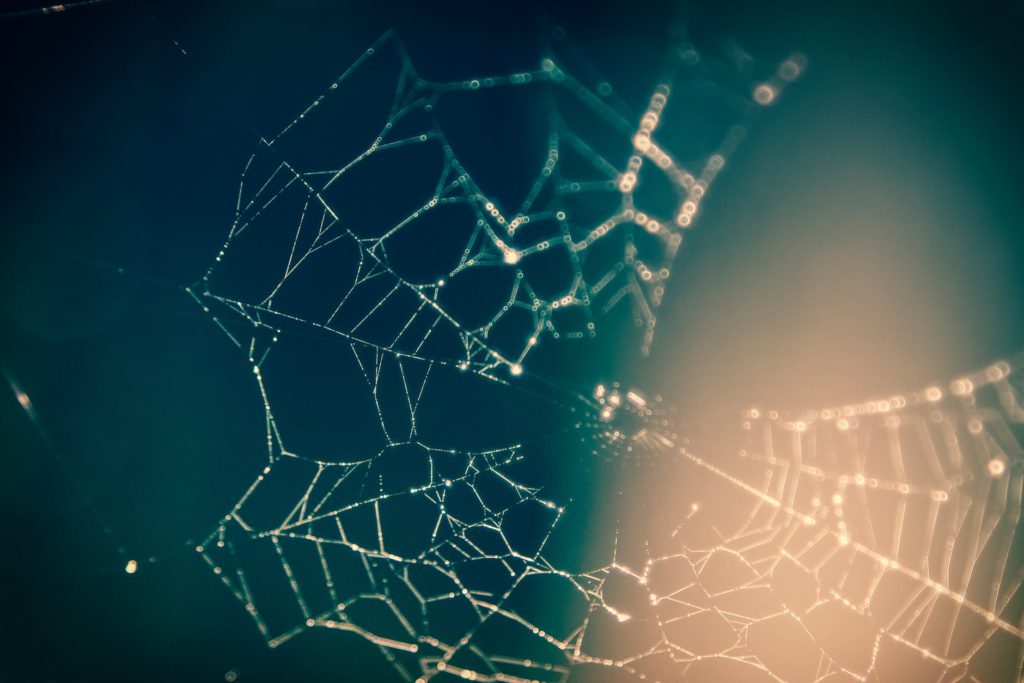 BGP Fundamentals: Part 2